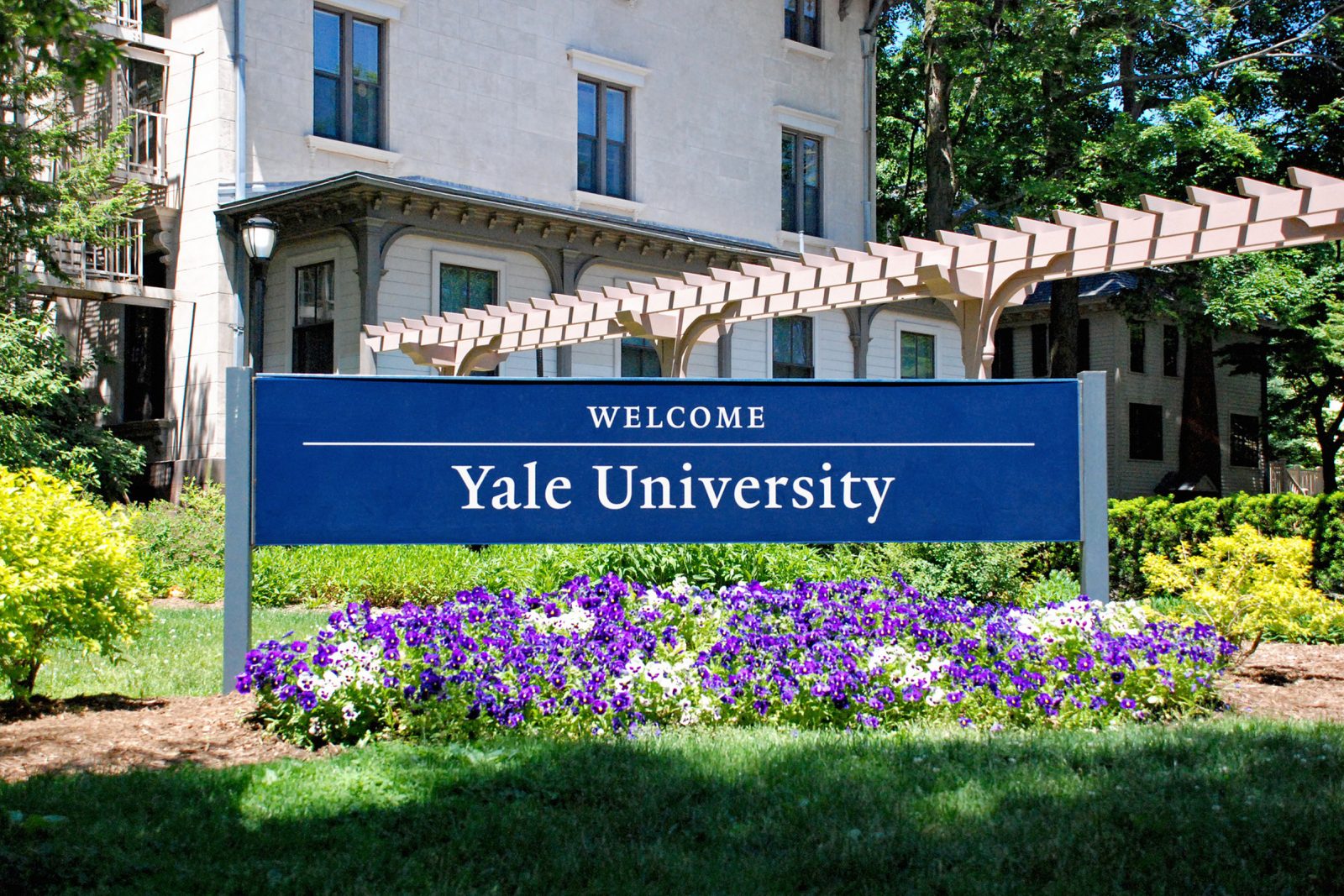 yale phd global affairs